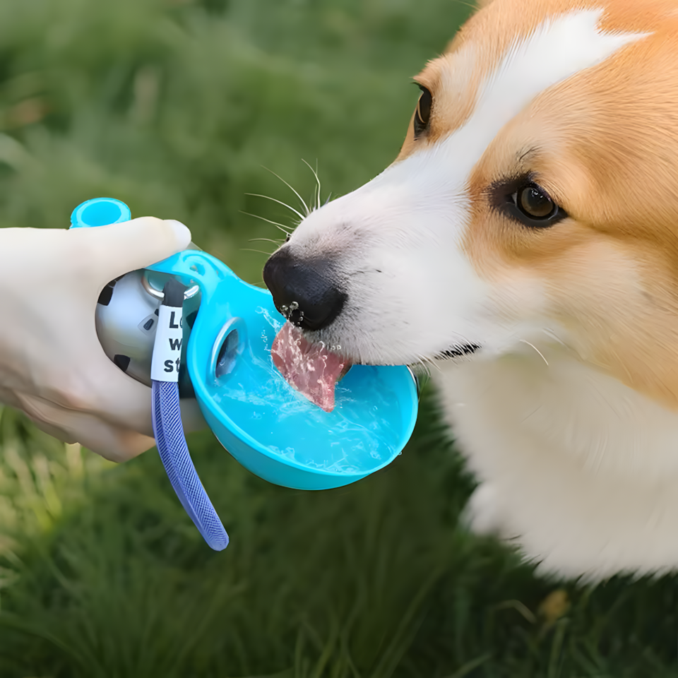 PetPal Bubble Bowl 3